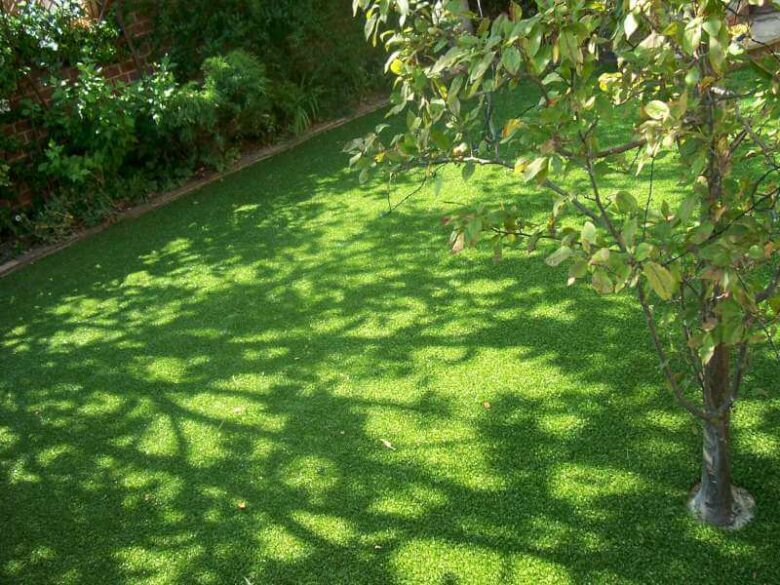 Artificial Grass and Tree