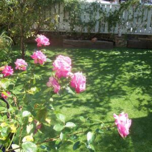 Artificial Grass with Roses